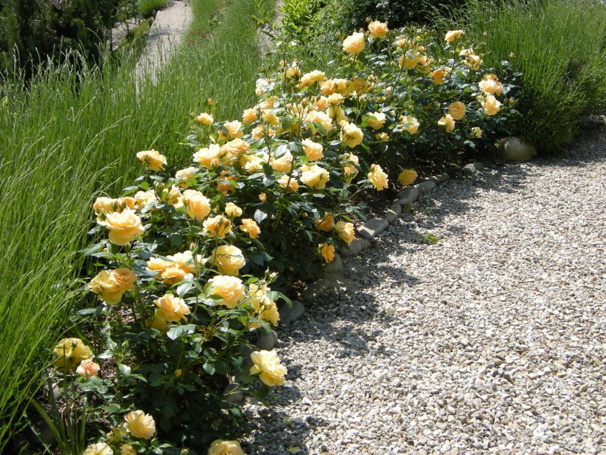 Casa Fonda- Piemonte Panzió Mango Kültér fotó